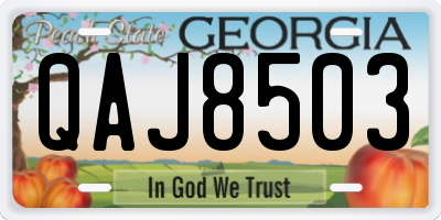 GA license plate QAJ8503