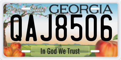 GA license plate QAJ8506