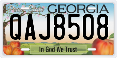 GA license plate QAJ8508