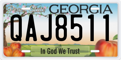GA license plate QAJ8511