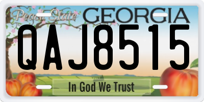 GA license plate QAJ8515