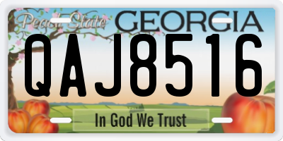 GA license plate QAJ8516