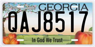 GA license plate QAJ8517