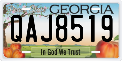 GA license plate QAJ8519