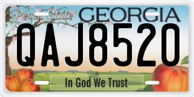 GA license plate QAJ8520