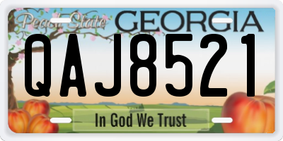 GA license plate QAJ8521