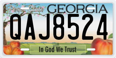 GA license plate QAJ8524
