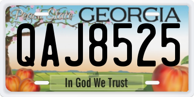GA license plate QAJ8525