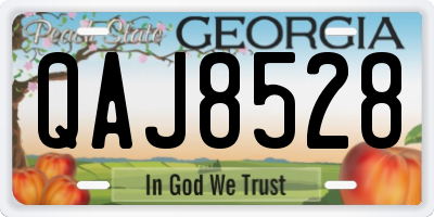 GA license plate QAJ8528