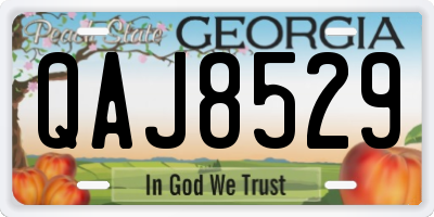 GA license plate QAJ8529