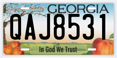 GA license plate QAJ8531