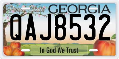 GA license plate QAJ8532