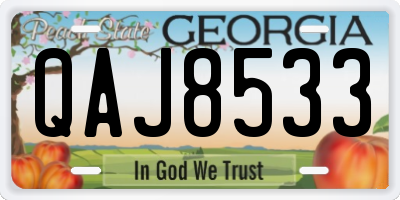 GA license plate QAJ8533