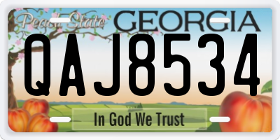 GA license plate QAJ8534