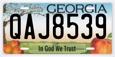 GA license plate QAJ8539