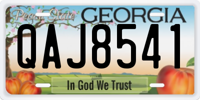 GA license plate QAJ8541