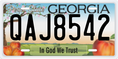 GA license plate QAJ8542