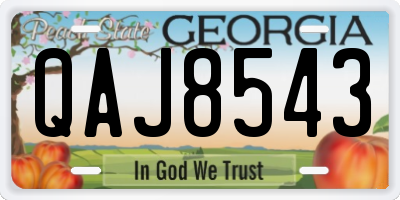 GA license plate QAJ8543
