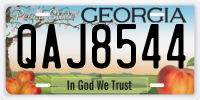 GA license plate QAJ8544