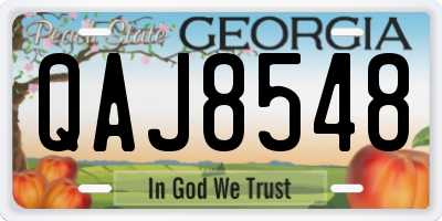 GA license plate QAJ8548