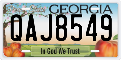 GA license plate QAJ8549
