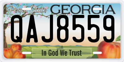 GA license plate QAJ8559