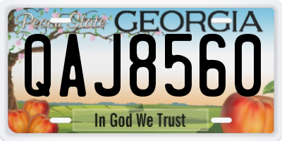 GA license plate QAJ8560