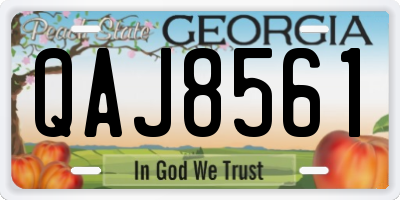 GA license plate QAJ8561