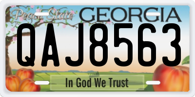 GA license plate QAJ8563