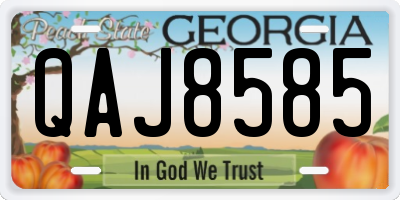GA license plate QAJ8585