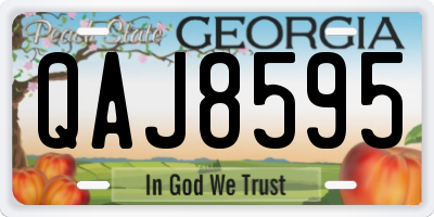 GA license plate QAJ8595