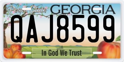 GA license plate QAJ8599