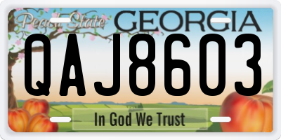 GA license plate QAJ8603