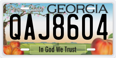 GA license plate QAJ8604