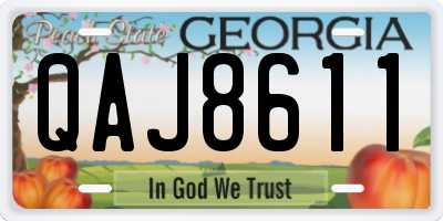 GA license plate QAJ8611