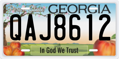 GA license plate QAJ8612
