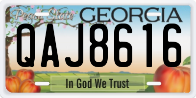 GA license plate QAJ8616