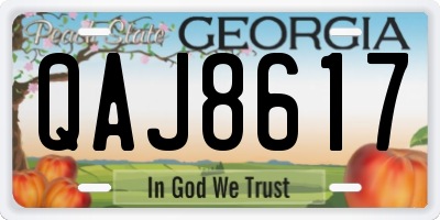 GA license plate QAJ8617