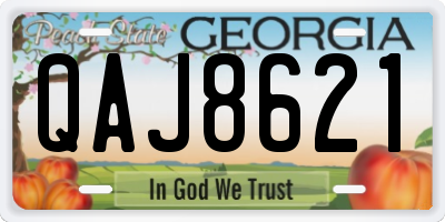 GA license plate QAJ8621