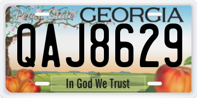 GA license plate QAJ8629