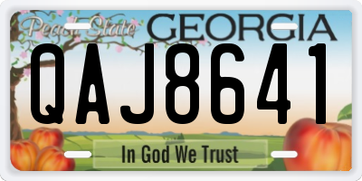GA license plate QAJ8641
