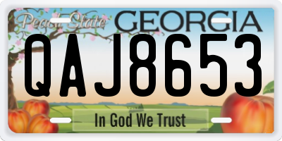 GA license plate QAJ8653