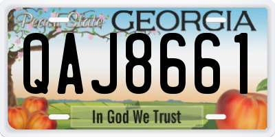 GA license plate QAJ8661
