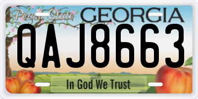 GA license plate QAJ8663