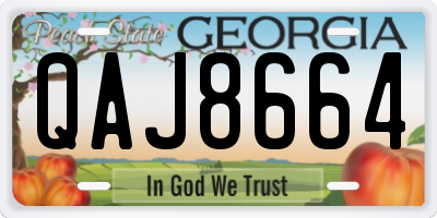 GA license plate QAJ8664