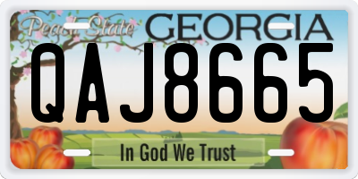 GA license plate QAJ8665