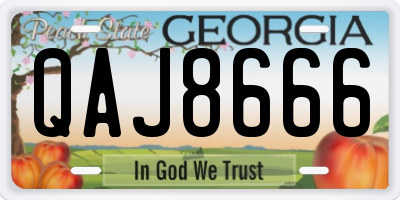 GA license plate QAJ8666