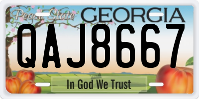 GA license plate QAJ8667