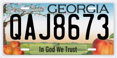 GA license plate QAJ8673