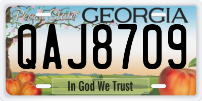 GA license plate QAJ8709